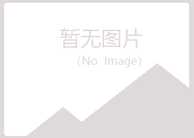 宁夏山柳能源有限公司